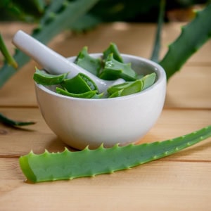 Aloe Vera