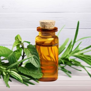 Tea Tree Oil