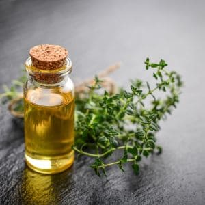 Thyme Oil